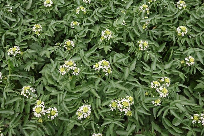 EOS R10ARF-S18-45mm F4.5-6.3 IS STMA22mmi35mmZ35mmjAF11A1/800bAISO6400AzCgoXFI[gi͋CDjAsN`[X^CFX^_[hBeʐ^i6000×4000A10.8MBj