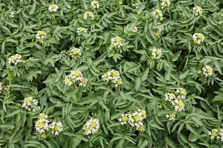 EOS R8ARF24-50mm F4.5-6.3 IS STMA35mmAF11A1/3200bAISO25600AzCgoXFI[gi͋CDjAsN`[X^CFX^_[hBeʐ^i6000×4000A11.0MBj