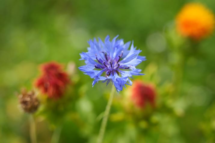 7C IIA50-300mm F/4.5-6.3 Di III VC VXDA50mmAF5.6A1/1000bAISO400A+0.3EVAzCgoXFI[gANGCeBubNFSTBeʐ^i7008×4672A17.6MBj