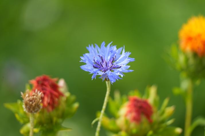 7C IIA50-300mm F/4.5-6.3 Di III VC VXDA300mmAF6.3A1/500bAISO400A+0.3EVAzCgoXFI[gANGCeBubNFSTBeʐ^i7008×4672A17.9MBj