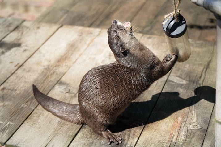 7C IIA50-300mm F/4.5-6.3 Di III VC VXDA84mmAF5.0A1/1250bAISO400A+0.3EVAzCgoXFI[gANGCeBubNFSTBeʐ^i7008×4672A20.1MBj