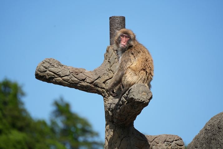 7C IIA50-300mm F/4.5-6.3 Di III VC VXDA300mmAF8.0A1/1250bAISO400A+0.3EVAzCgoXFI[gANGCeBubNFSTBeʐ^i7008×4672A19.7MBj