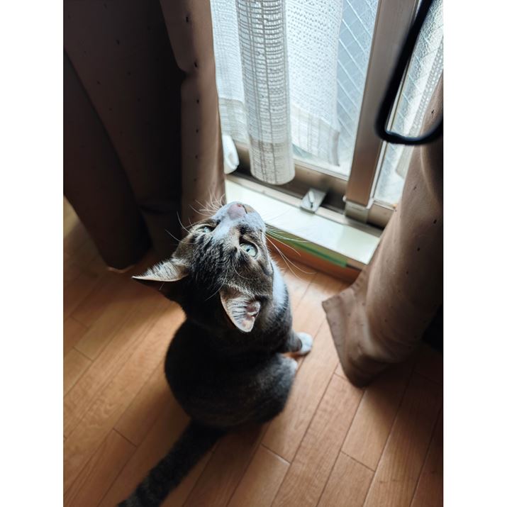 1^ZT[𓋍ڂCJ̉掿͈|IB{\̂ŁAX}[gtHŎBƂ͎vȂ悤ȍiʂȎʐ^B܂Xiaomi 14 UltraACJA35mmZ23mmAF2A1/50bAISO500AWBFI[gAtB^[Fm[}Beʐ^i3072×4096A6.5MBj