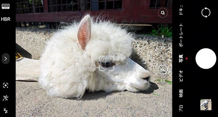 ʑ̔FAF⓵AF𓋍ڂĂ̂ŗeՂɃsg킹܂