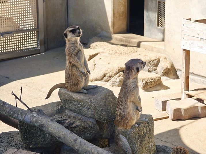 u120mmyXR[vJvłpIłꂢȉ掿񋟂ĂĂƂ uXiaomi 14 Ultrav̋Zp͂̍܂Xiaomi 14 UltraA120mmyXR[vJA35mmZ120mmAF2.5A1/430bAISO50A{1.0EVAWBFI[gAtB^[Fm[}Beʐ^i4096×3072A9.0MBj