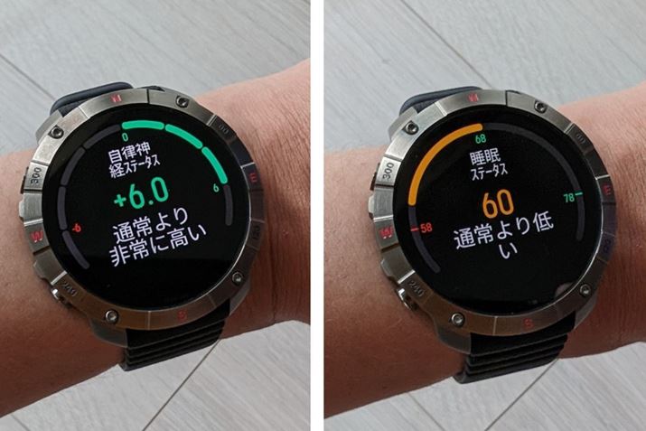 _o̗xƐ̎A2ނ̕]Őj^Oł܂