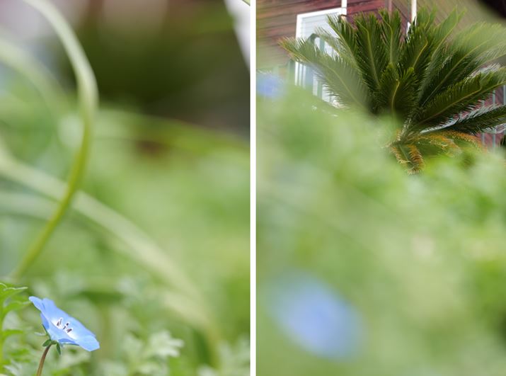 {Y͐VJ́ufAtFCYjA[^v𓋍ڂĂAߐځij牓iiEjɑ傫sgʒuς悤ȏꍇłX[YɃsg킹sBtH[JX쓮}Ă̂œBeɂKĂ