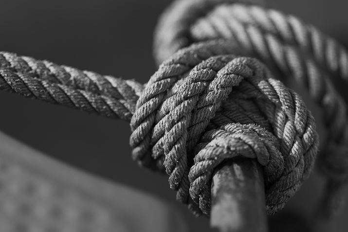 LUMIX S5IIXALUMIX S 100mm F2.8 MACROAF2.8A1/1600bAISO100A-0.7EVAzCgoXFVAtHgX^CFL.mN[DBeʐ^i6000×4000A6.6MBj