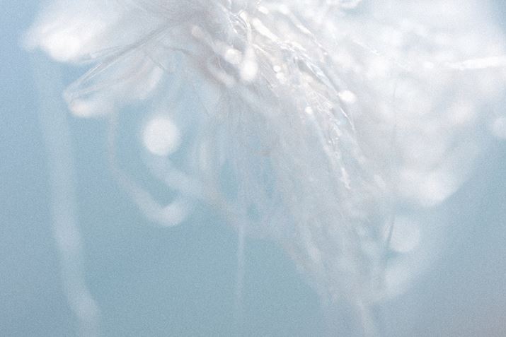 LUMIX S5IIXALUMIX S 100mm F2.8 MACROAF2.8A1/1000bAISO100A+1.0EVAzCgoXFVAtHgX^CFL.NVbNlI