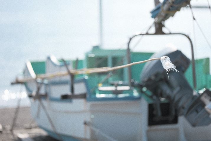 LUMIX S5IIXALUMIX S 100mm F2.8 MACROAF2.8A1/1600bAISO100AzCgoXFVAtHgX^CFL.NVbNlI