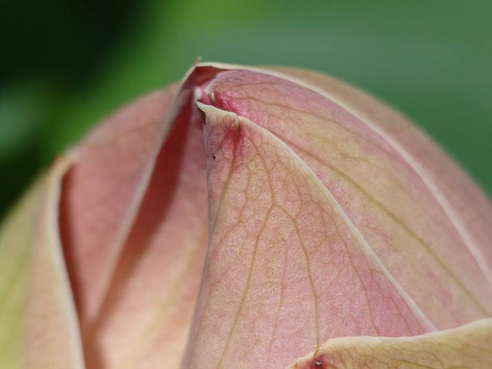 e}N[hŎBeBʑ̂܂ł̋͂悻30cmBt̉𑜊Ȃǃ}NBe炵1ɂȂ