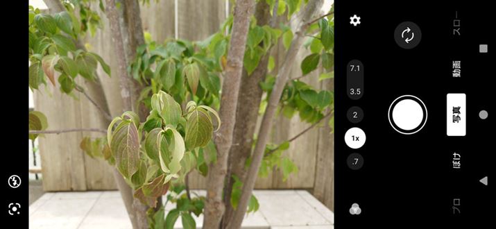 uXperia 1 IVv́uJv̑ʁB^b`Vb^[镁ʂ̑ƂȂ