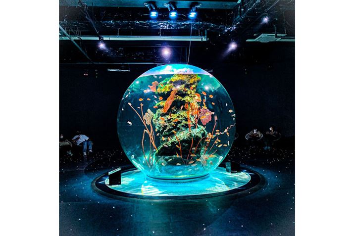 uAgAv͓{őK͂̋̐ȂǂAʐ^fX|bgƂĐlCƂ̂Ƃł