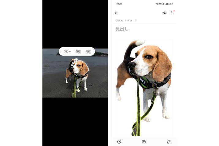 uAINbsOv͎ʐ^̈ꕔ؂蔲āAfނƂĎgƂɕ֗