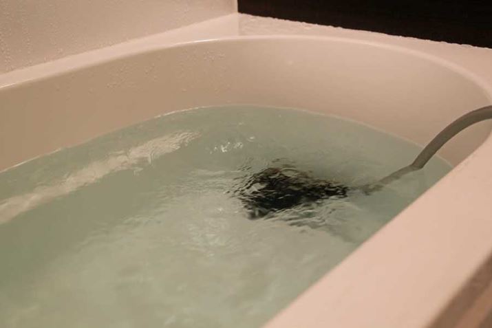 VL[oX́A炩ߗɓ𒣂ĂÂĂƂȂǂɁAɃV[wbhďĂƂ悢낤