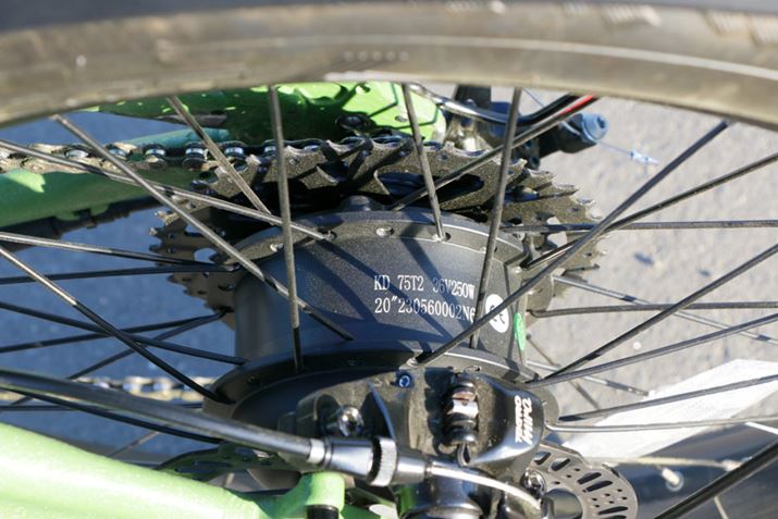 hCujbg̓fCgie-Bikeł܂ł̗pĂnu[^[^Cv𓋍