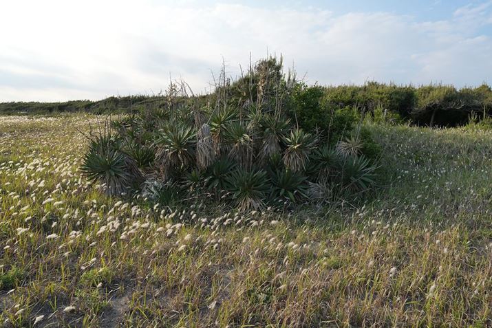 7R VAFE 16-25mm F2.8 GA22mmAF8A1/125bAISO100AzCgoXFI[gANGCeBubNFSTBeʐ^i9504×6336A26.5MBj