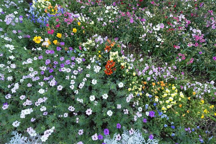 7R VAFE 16-25mm F2.8 GA16mmAF2.8A1/100bAISO100AzCgoXFI[gANGCeBubNFSTBeʐ^i9504×6336A27.7MBj