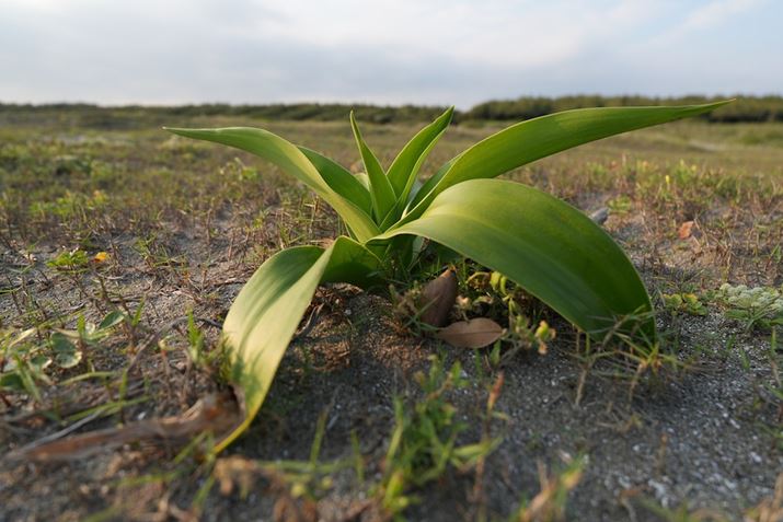 7R VAFE 16-25mm F2.8 GA18mmAF2.8A1/800bAISO100AzCgoXFI[gANGCeBubNFSTBeʐ^i9504×6336A15.0MBj