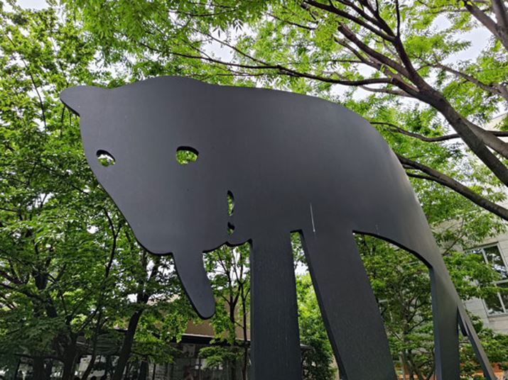 nCGhX}[gtH̃JƂĂ͏ȉ掿B{IɘIo͗}߂ŔhɂȂ炸ADĂ