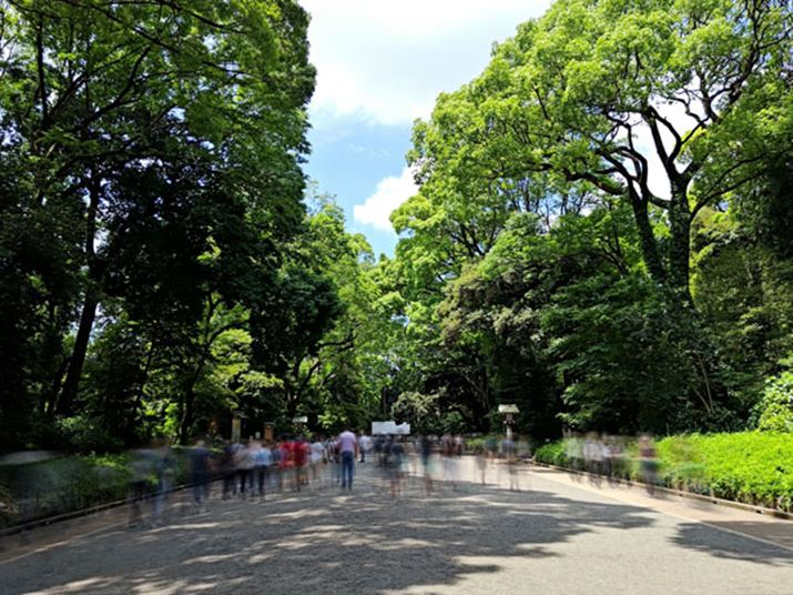 Wogʂ̂ЂƂŁA莝ł̒ԘIBeBvZbgGtFNgul̉vgƁAluۓIȎʐ^ɂȂ