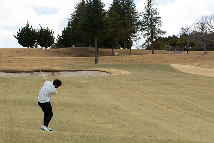 O[܂50[hn_eXgBO[ɗĂ̋`FbN܂