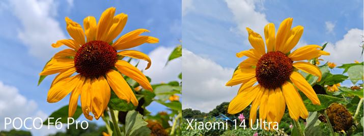 uPOCO F6 ProvAÉuXiaomi 14 UltravBuPOCO F6 Prov͂A_[BuXiaomi 14 Ultrav͑N₩ȂۂŁAN₩Ȃ̐FɏĂ̋C 