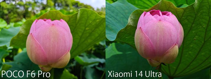 uPOCO F6 ProvAÉuXiaomi 14 UltravBuPOCO F6 Prov͖邭N₩ɁAuXiaomi 14 Ultrav͉AecĂ蔭F[߂