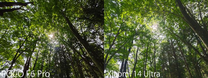 Aȇ傫ؘRBeBuPOCO F6 ProvAÉuXiaomi 14 UltravBAuPOCO F6 Prov̂قA_[CBuXiaomi 14 Ultrav͂N₩Ȉ