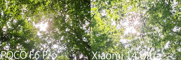 ̍̃nCCg𓙔{Ńg~OBuPOCO F6 ProvAÉuXiaomi 14 UltravBuXiaomi 14 Ultravɂ͌䊂Ă