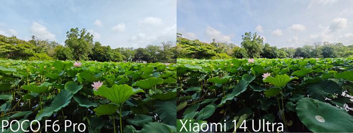 uPOCO F6 ProvAÉuXiaomi 14 UltravB4mmƂœ_̈Ⴂ\}̈ۂɗ^e͑傫BۂAʂ\ȍ\}ƂƂĉ掿ɂĖڗ͂Ȃ