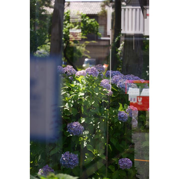 ͌̎߂Ă܂Aꕔł܂炫ւĂĂƂĂꂢłLUMIX S9ALUMIX S 28-200mm F4-7.1 MACRO O.I.S.A148mmAF6.5A1/160bAISO320A-0.3EVAzCgoXFzAtHgX^CFBBbh