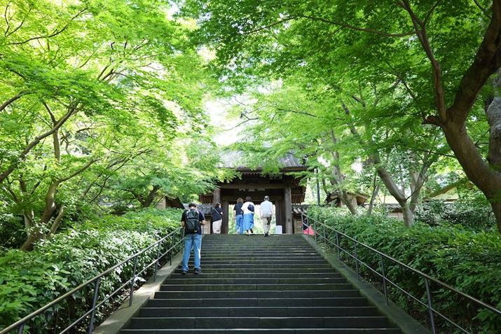 V΂Ɉ͂܂ꂽKiオĂƁA~ȏɒ܂LUMIX S9ALUMIX S 28-200mm F4-7.1 MACRO O.I.S.A28mmAF5.1A1/30bAISO320A+1.0EVAzCgoXFzAtHgX^CFi