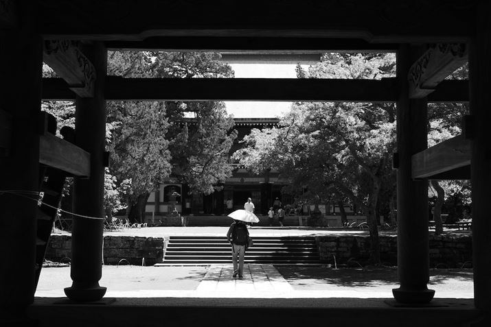 uLUMIXvV[Y̓mN[hLxȂ̂́BuLUMIX S9v5ނIł܂LUMIX S9ALUMIX S 28-200mm F4-7.1 MACRO O.I.S.A47mmAF13A1/125bA-0.3EVAISO640AzCgoXFzAtHgX^CFL.mN[D