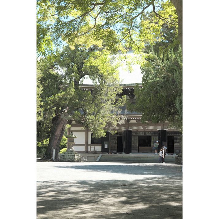 a͑傫Ĕ͂܂B炩͋ĆuL.NVbNlIvŎBeLUMIX S9ALUMIX S 28-200mm F4-7.1 MACRO O.I.S.A50mmAF6A1/400bAISO640A+0.3EVAzCgoXFzAtHgX^CFL.NVbNlI