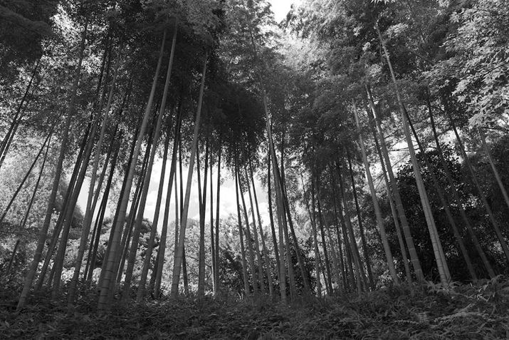 LUMIX S9ALUMIX S 28-200mm F4-7.1 MACRO O.I.S.A28mmAF11A1/40bAISO100A-0.3EVAzCgoXFzAtHgX^CFL.mN[S