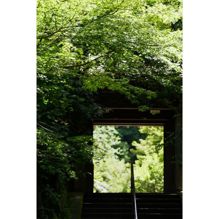 LUMIX S9ALUMIX S 28-200mm F4-7.1 MACRO O.I.S.A155mmAF8A1/160bAISO400A-0.3EVAzCgoXFzAtHgX^CFVlCNV2