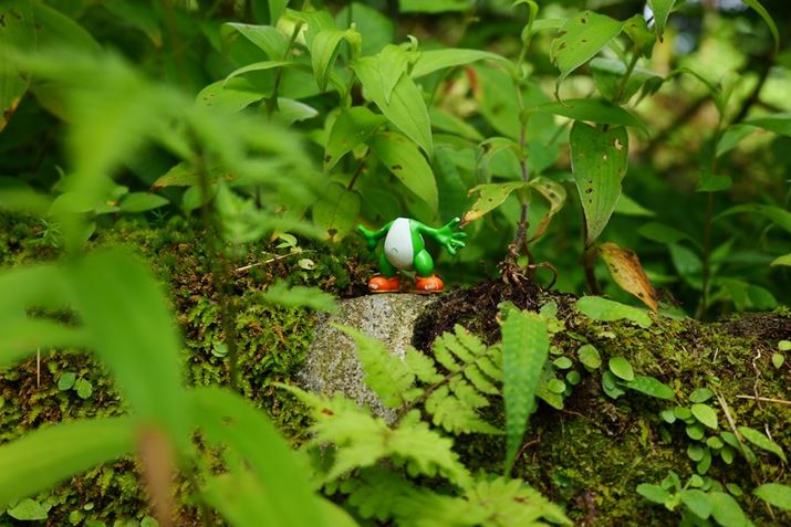 LUMIX S9ALUMIX S 28-200mm F4-7.1 MACRO O.I.S.A47mmAF4.9A1/250bAISO400A-0.3EVAzCgoXFzAtHgX^CFBBbh