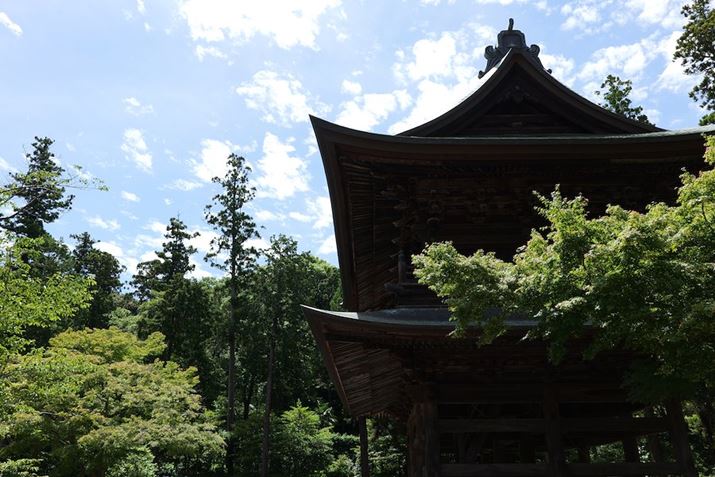 LUMIX S9ALUMIX S 28-200mm F4-7.1 MACRO O.I.S.A28mmAF8A1/100bAISO100A-0.3EVAzCgoXFzAtHgX^CFi