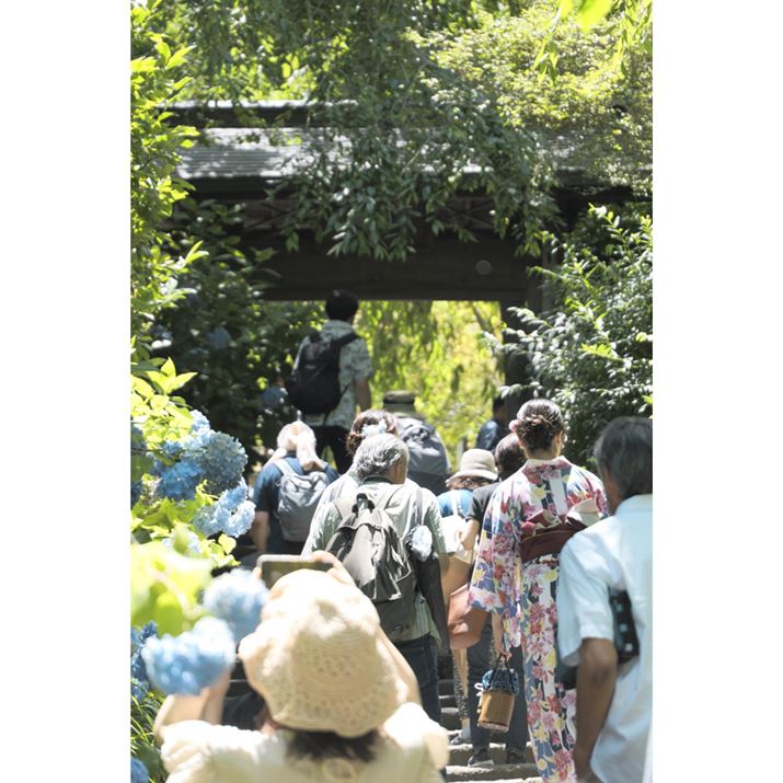 LUMIX S9ALUMIX S 28-200mm F4-7.1 MACRO O.I.S.A200mmAF7.1A1/250bAISO500A+0.7EVAzCgoXFzAtHgX^CFL.NVbNlI