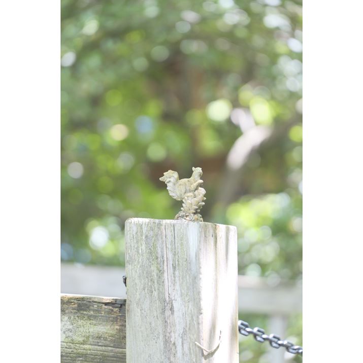 LUMIX S9ALUMIX S 28-200mm F4-7.1 MACRO O.I.S.A196mmAF7.1A1/250bAISO3200A+0.7EVAzCgoXFAWBwiB5AM3jAtHgX^CFL.NVbNlI