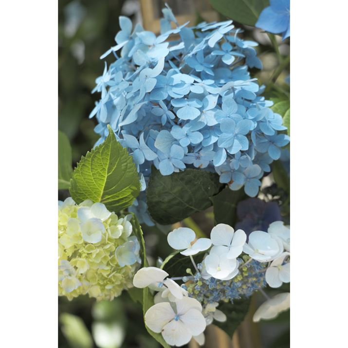 LUMIX S9ALUMIX S 28-200mm F4-7.1 MACRO O.I.S.A71mmAF5.5A1/100bAISO100A-0.3EVAzCgoXFzAtHgX^CFL.NVbNlI