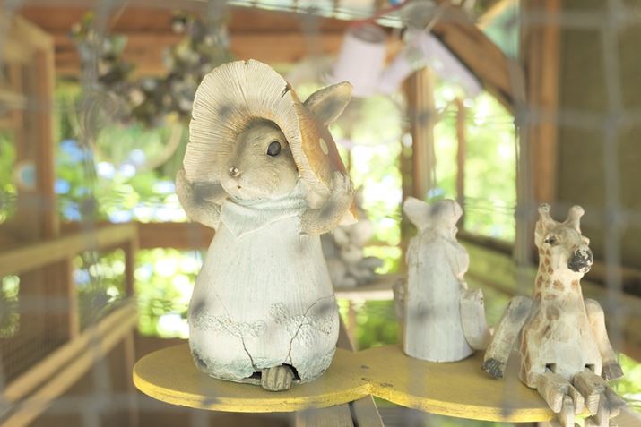 @̒ɃETM܂Aďɓ͂܂łB̓̍ōC35xccLUMIX S9ALUMIX S 28-200mm F4-7.1 MACRO O.I.S.A38mmAF4.6A1/50bAISO400A+1.0EVAzCgoXFzAtHgX^CFL.NVbNlI