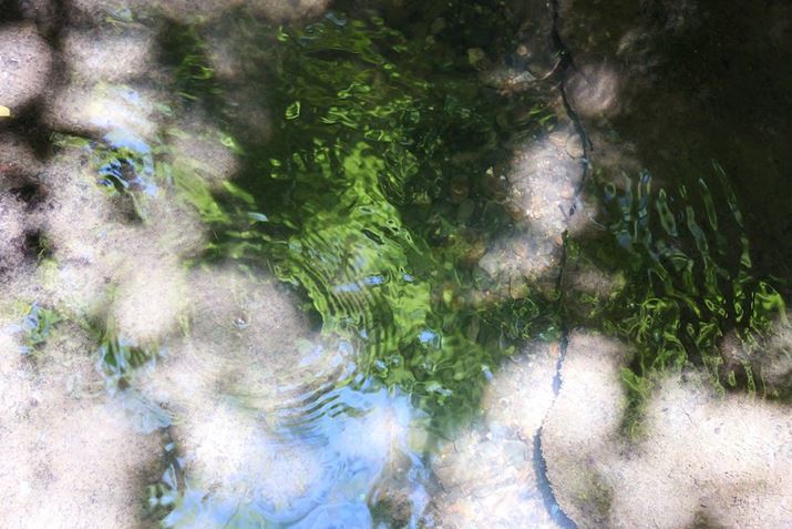 LUMIX S9ALUMIX S 28-200mm F4-7.1 MACRO O.I.S.A131mmAF6.2A1/160bAISO5000A+0.7EVAzCgoXFAWBAtHgX^CFi