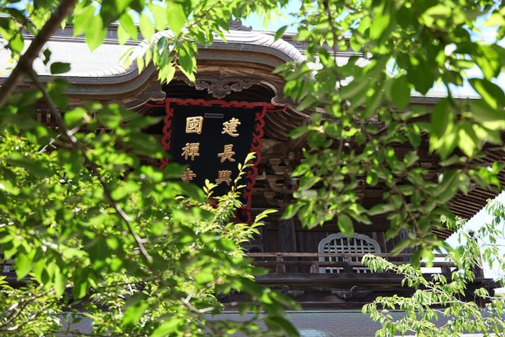 ̑n1253NBq܎Ȓ1ʂ̑T@@łBqƖkq̂傤ǒԂɂĂǂ炩ANZXł܂BȂ݂Ɋq܎Ȓ2ʂ~ołLUMIX S9ALUMIX S 28-200mm F4-7.1 MACRO O.I.S.A58mmAF5.2A1/60bAISO100A+0.3EVAzCgoXFzAtHgX^CFi