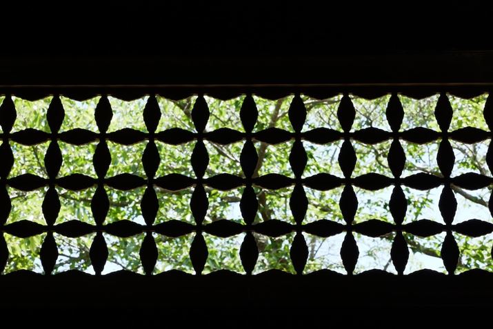 LUMIX S9ALUMIX S 28-200mm F4-7.1 MACRO O.I.S.A108mmAF22A1/125bAISO3200A+0.3EVAzCgoXFzAtHgX^CFVlCNV2