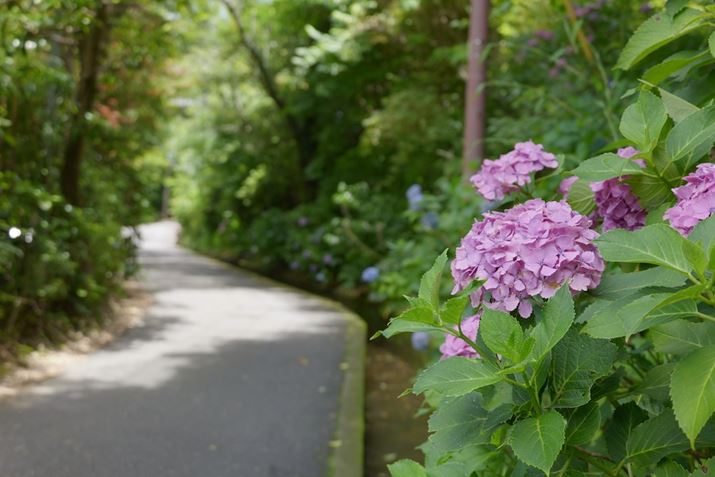̋班OiDŘHnւƐi݂܂B̐ɔmV܂LUMIX S9ALUMIX S 28-200mm F4-7.1 MACRO O.I.S.A43mmAF5.5A1/80bA ISO200AzCgoXFzAtHgX^CFVlCND2