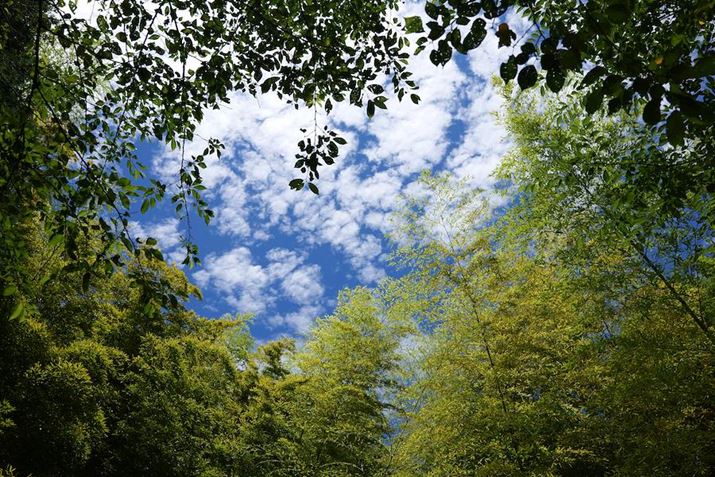 LUMIX S9ALUMIX S 28-200mm F4-7.1 MACRO O.I.S.A29mmAF5.5A1/500bA ISO100AzCgoXFzAtHgX^CFi