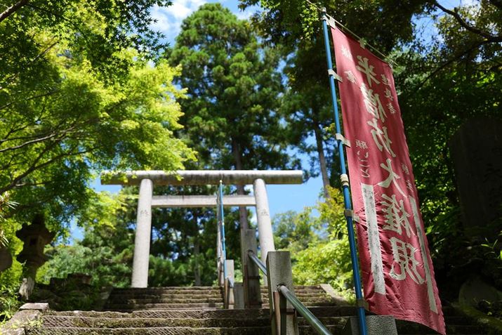 LUMIX S9ALUMIX S 28-200mm F4-7.1 MACRO O.I.S.A43mmAF5.6A1/125bA ISO100AzCgoXFzAtHgX^CFi