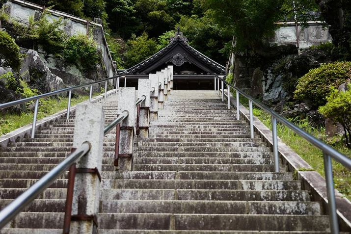 }ȊKiāA\łB炳ɏオĂƗRɏoāA炵ɓ܂BłLUMIX S9ALUMIX S 28-200mm F4-7.1 MACRO O.I.S.A55mmAF5A1/400bA ISO200AzCgoXFzAtHgX^CFVlCNV2